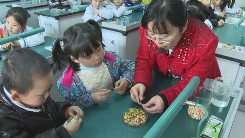 课后延时服务 以美术辅导破解“四点半难题”